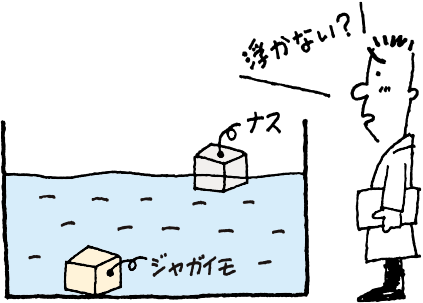 同じ大きさにカットしてみたら?